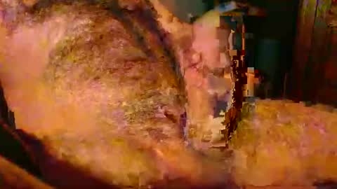 jolieeeeh online show from November 23, 8:36 am