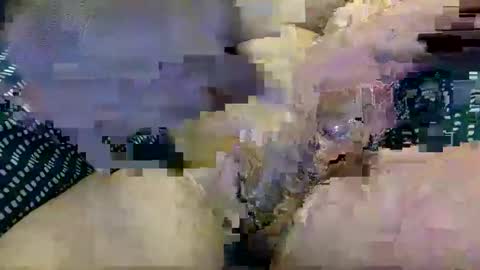 joost1985 online show from February 9, 1:05 pm