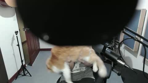 jose_perez_perez online show from May 31, 6:58 am