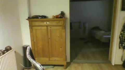 Snapshot of josemariachi chatting on March 11, 8:41 am Josesan online show from March 11, 8:41 am