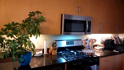 Snapshot of jtrnbll chatting on October 30, 9:05 pm ... online show from October 30, 9:05 pm