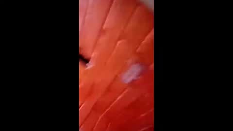 juanggm10 online show from September 13, 11:17 pm