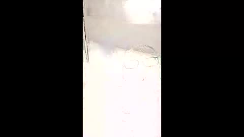 junior214a online show from January 4, 1:10 pm