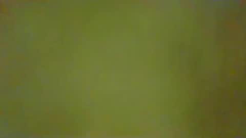 McKeefer online show from February 17, 3:44 pm