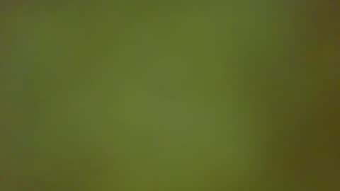 McKeefer online show from February 25, 2:40 pm