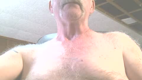 justdon online show from June 15, 2:42 pm