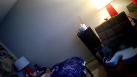 JustinNorthwood online show from October 19, 6:39 am