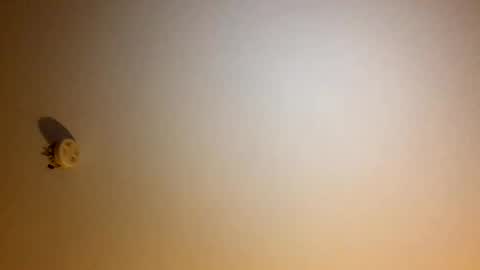 jutt_007 online show from November 28, 12:07 pm