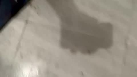 karan703080 online show from November 19, 7:19 am