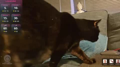 Karim Wulf online show from April 6, 4:42 am