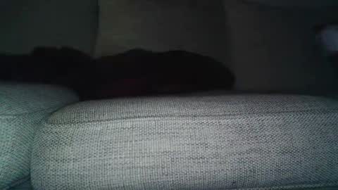 Snapshot of keegan__ chatting on September 23, 5:40 am Sub online show from September 23, 5:40 am
