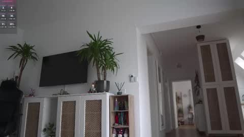 Kevin online show from November 28, 11:12 am