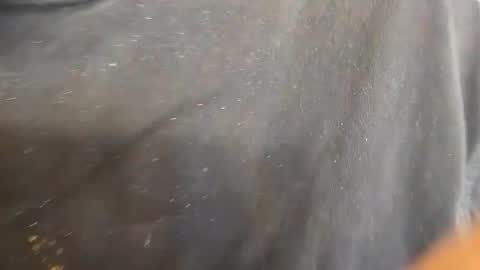 Snapshot of kevinevans448 chatting on September 9, 8:30 pm kevinevans448 online show from September 9, 8:30 pm