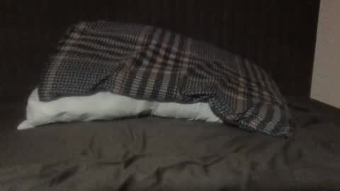 kiki3526 online show from March 12, 8:49 pm