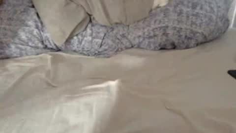 kiki3526 online show from October 14, 11:50 am