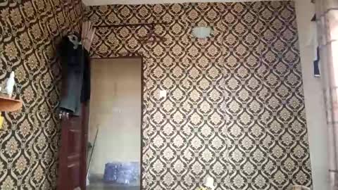 kingemizzy online show from February 3, 8:08 am