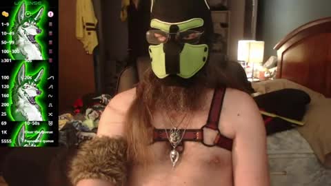 kinkywolf87 online show from July 6, 10:10 pm