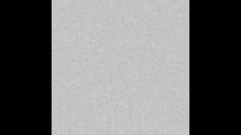 knox_steele online show from November 30, 9:33 am