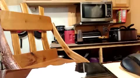 kota183368 online show from October 13, 2:56 pm