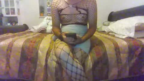 kpcloud255498 online show from December 3, 2:17 am