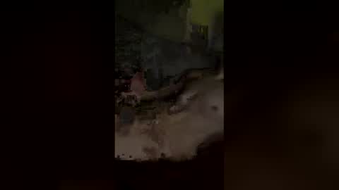 kviten4308 online show from May 14, 10:41 pm