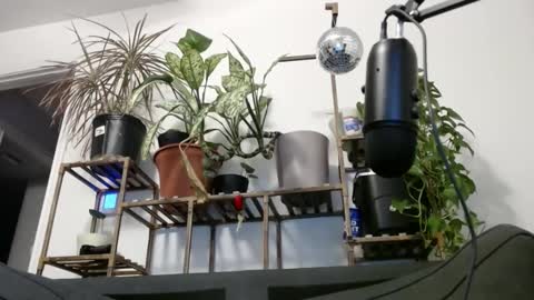 Rick online show from December 12, 12:16 am