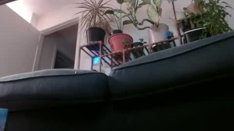 Rick online show from February 1, 3:08 am