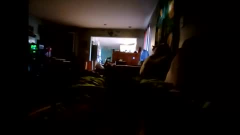 lambofgod90_ online show from November 24, 3:35 pm