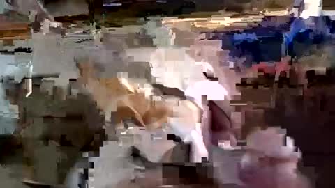 larryt777 online show from December 14, 5:14 am