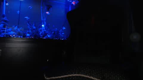 latinlover513 online show from September 15, 8:59 am