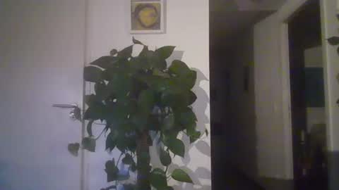 Snapshot of laurenthod chatting on October 1, 7:51 pm laurenthod online show from October 1, 7:51 pm
