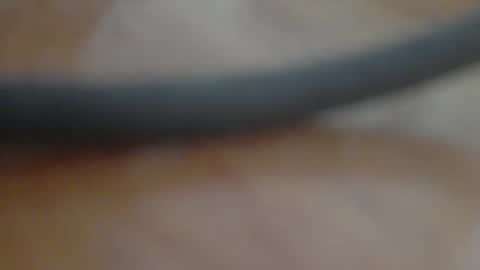 leowolf online show from September 25, 11:42 am