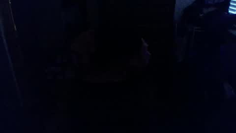 Snapshot of lennyfife chatting on October 7, 7:29 pm Pussylicker online show from October 7, 7:29 pm