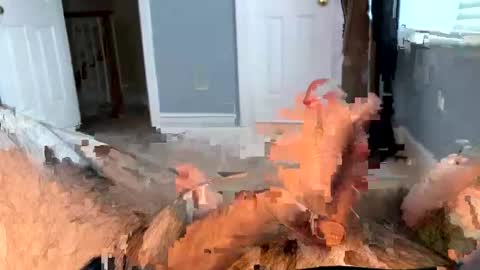 letmecumforyou71 online show from March 4, 6:04 pm