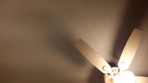 likdatass69247 online show from January 5, 7:49 am