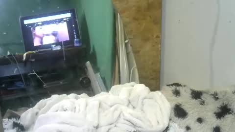 Snapshot of lincolnlongdick chatting on February 11, 11:54 am Richie Rich online show from February 11, 11:54 am