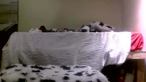 Snapshot of lincolnlongdick chatting on December 31, 1:08 pm Richie Rich online show from December 31, 1:08 pm