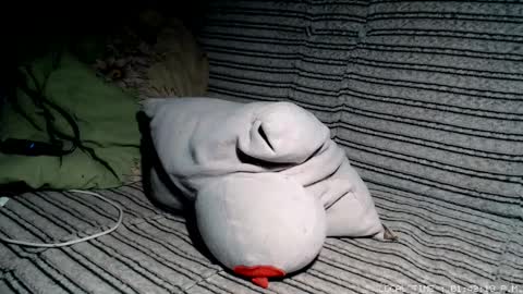 Malej Kmo online show from February 17, 12:42 am