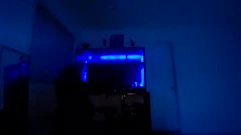 lombopenis online show from October 21, 1:52 am