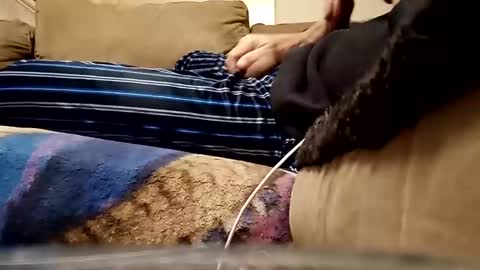 looking4bush online show from February 24, 2:12 am