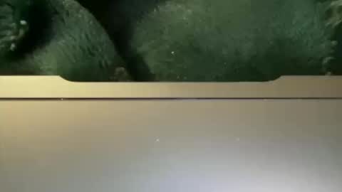 First Timeeeeee online show from October 12, 7:24 am