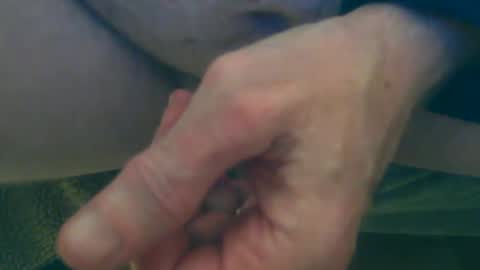 lost_angel75 online show from December 5, 12:07 am