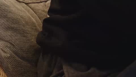 lostinspaxe online show from November 5, 10:12 pm