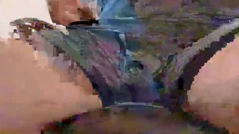 lovebird262389 online show from October 15, 3:03 am