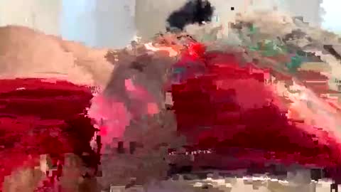 lovelybigdick1812 online show from September 13, 9:43 am