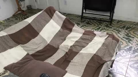 lucifer_curious online show from October 15, 5:09 pm