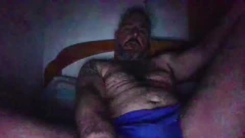 Snapshot of luison79 chatting on February 1, 2:37 am luison79 online show from February 1, 2:37 am
