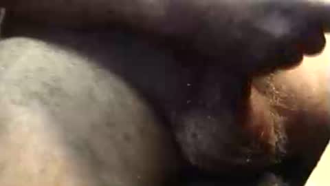 lukestarfckr online show from October 27, 9:33 am