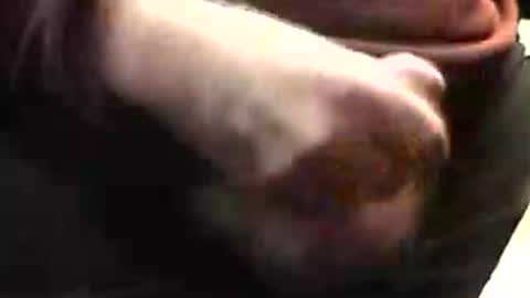 lukestarfckr online show from March 12, 5:09 pm