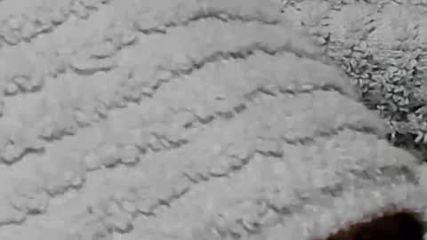 lustgardener67 online show from February 3, 7:21 pm